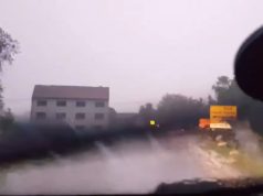Во Сисак вечерва силно невреме рушеше и корнеше стебла од корен