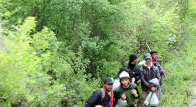 ВЛАСТА И ОПОЗИЦИЈАТА СО СВОИ АРГУМЕНТИ И РАЗЛИЧНИ ДОКУМЕНТИ: Резолуција и контрарезолуција во битка со мигрантите?
